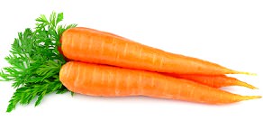 Морковь - источник провитамина А
