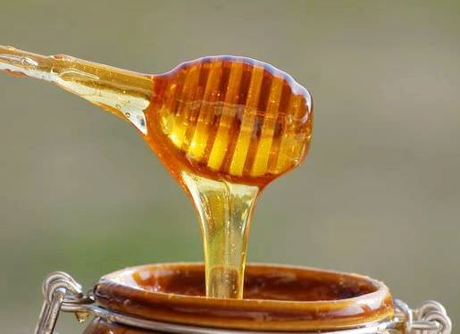 Чем полезен мед?