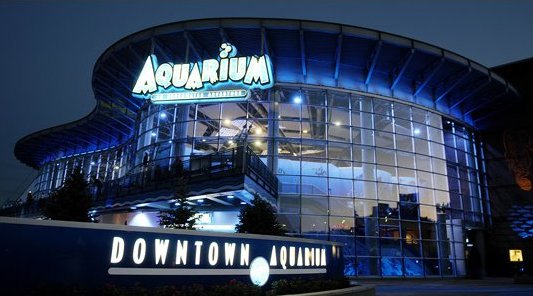 Downtown Aquarium: путешествие по Америке