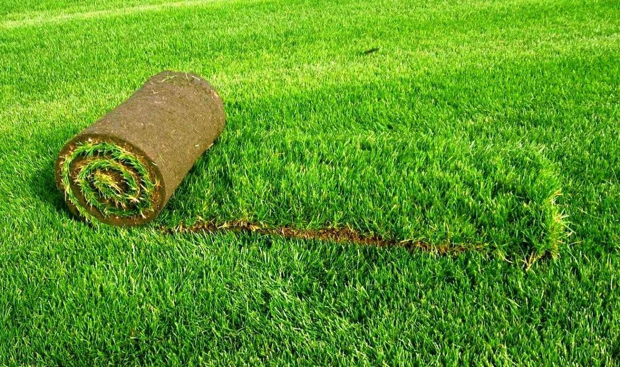 Как уложить рулонный газон самостоятельно