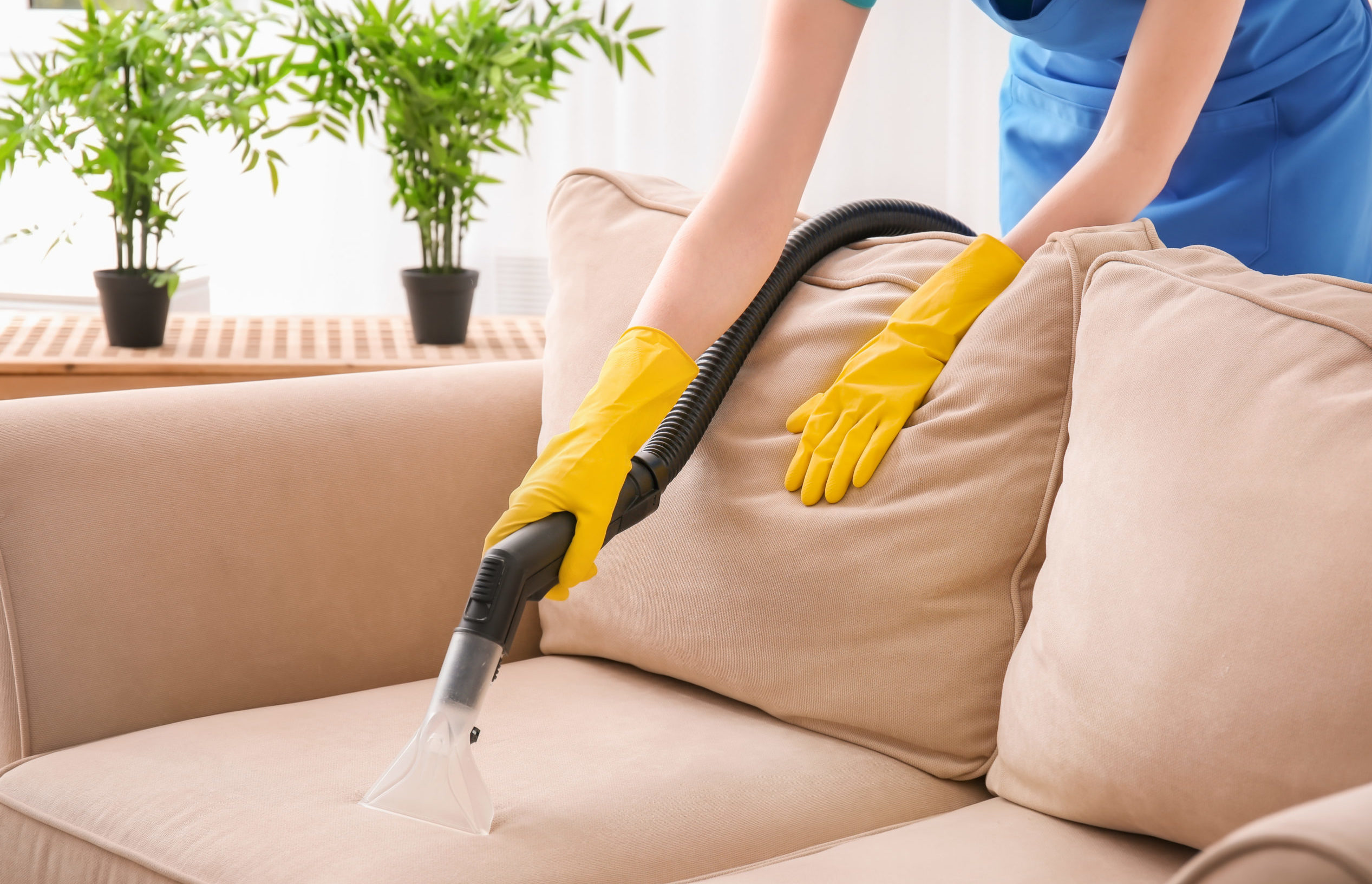 Химчистка мебели: особенности и преимущества