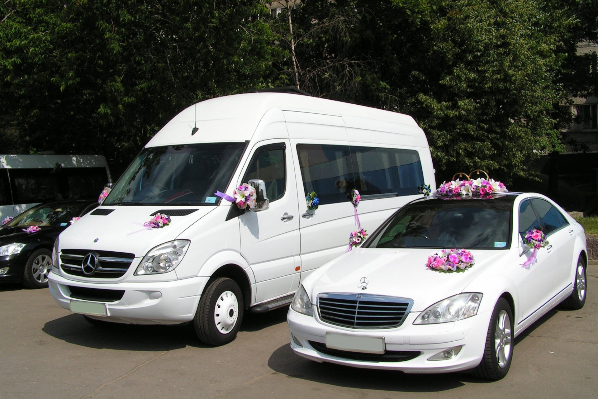 Как заказать микроавтобус на свадьбу быстро и просто